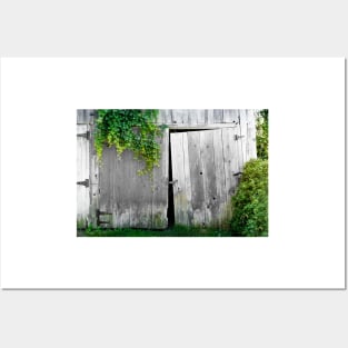 Weathered Barn Doors 2 Posters and Art
